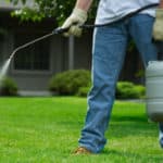 giardiniere effettua una disinfestazione su di un prato
